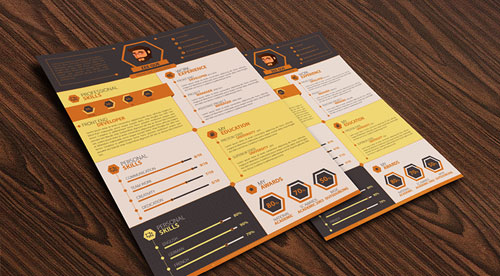 flat-resume-template-design-for-developers
