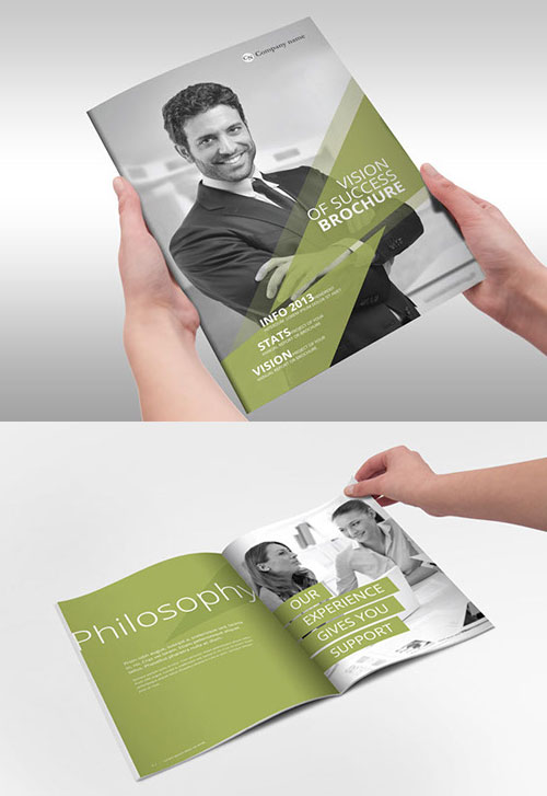 vision-of-success-bi-fold-brochure-design-template