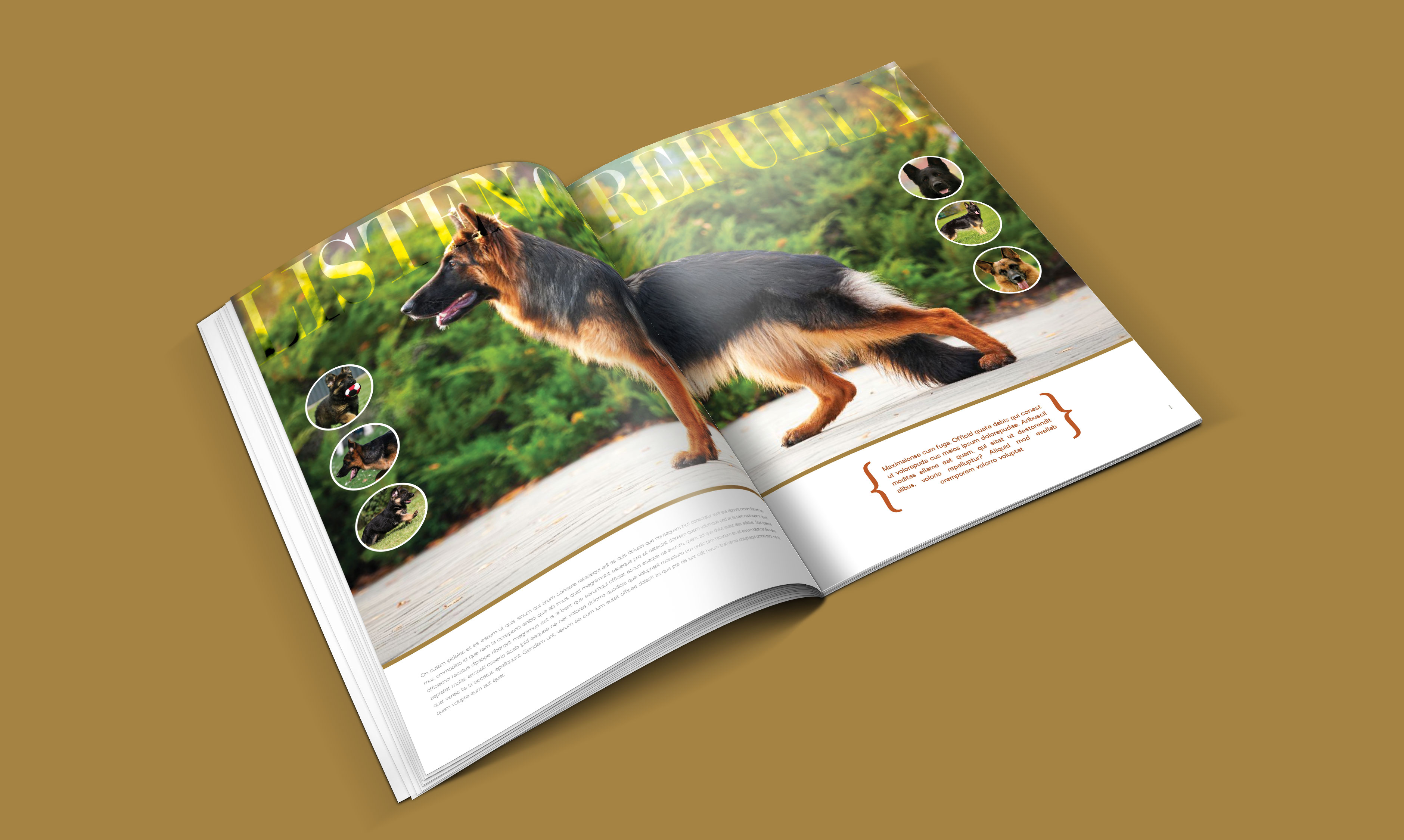 dogs-catalogue-design-template-in-ai-indd-pdf-format-1