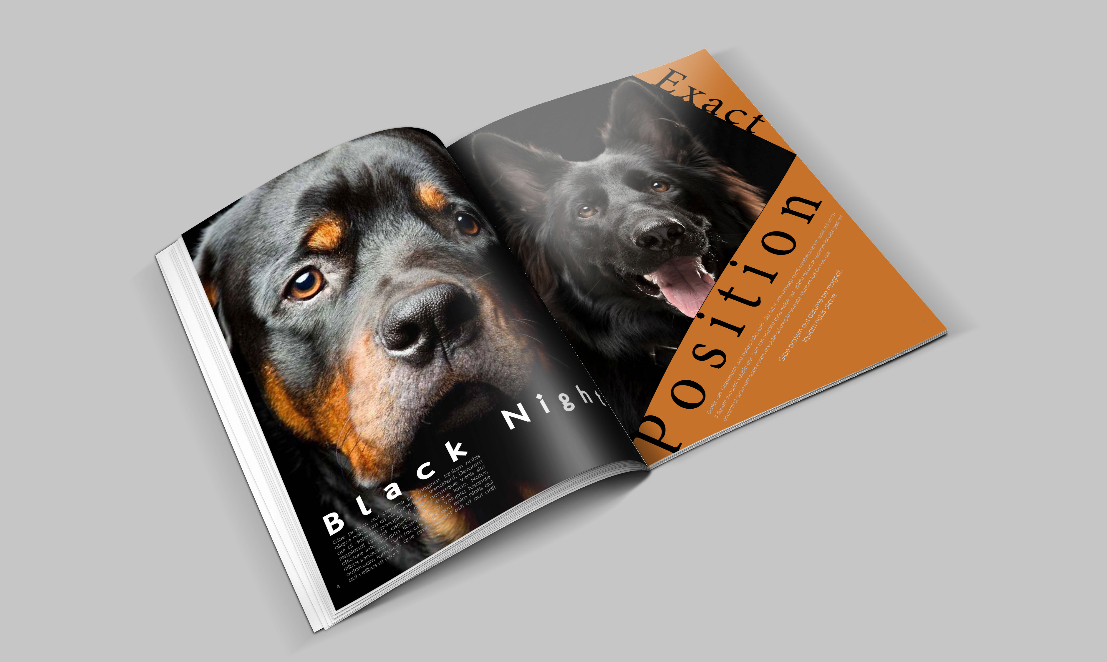 dogs-catalogue-design-template-in-ai-indd-pdf-format-2