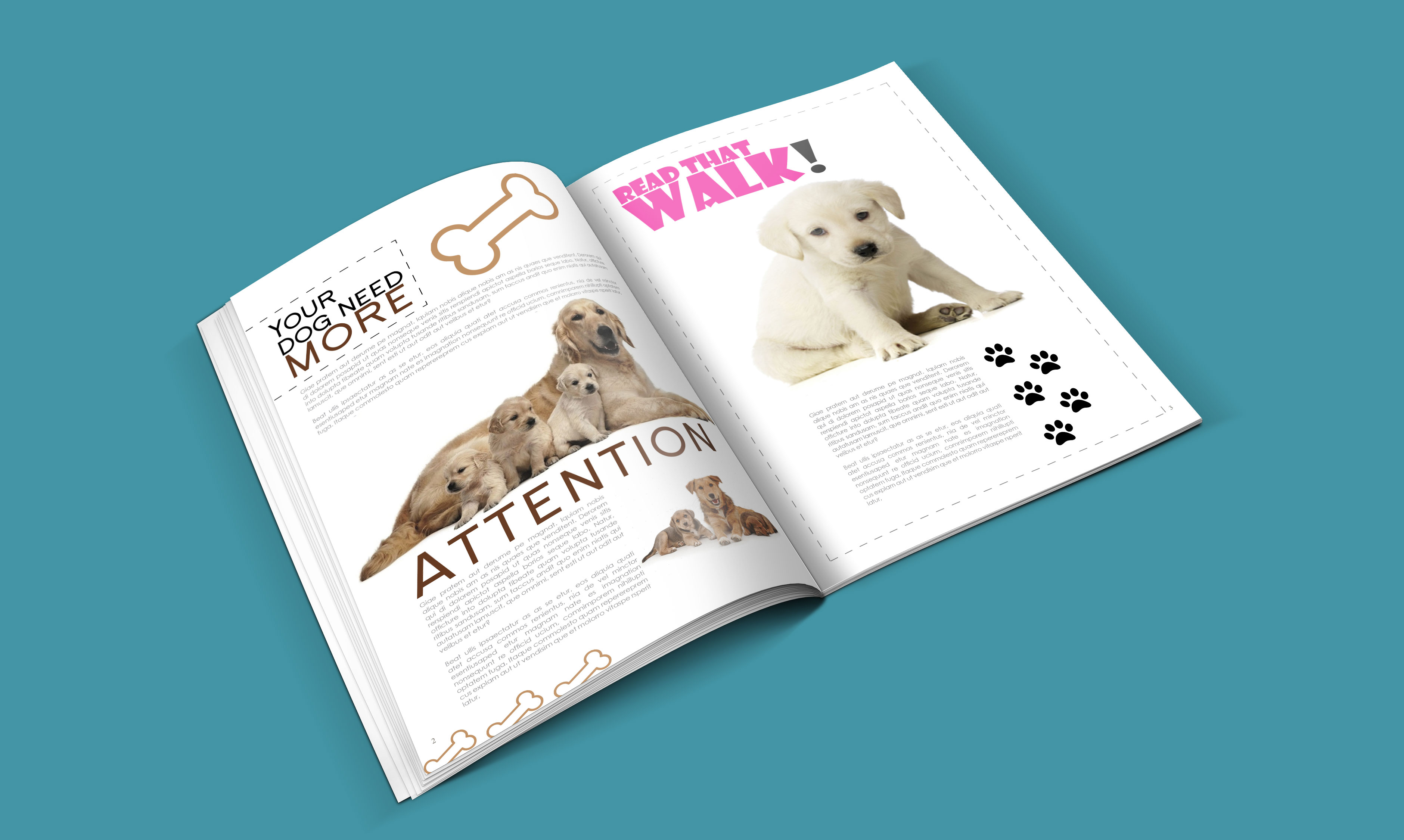 dogs-catalogue-design-template-in-ai-indd-pdf-format-3