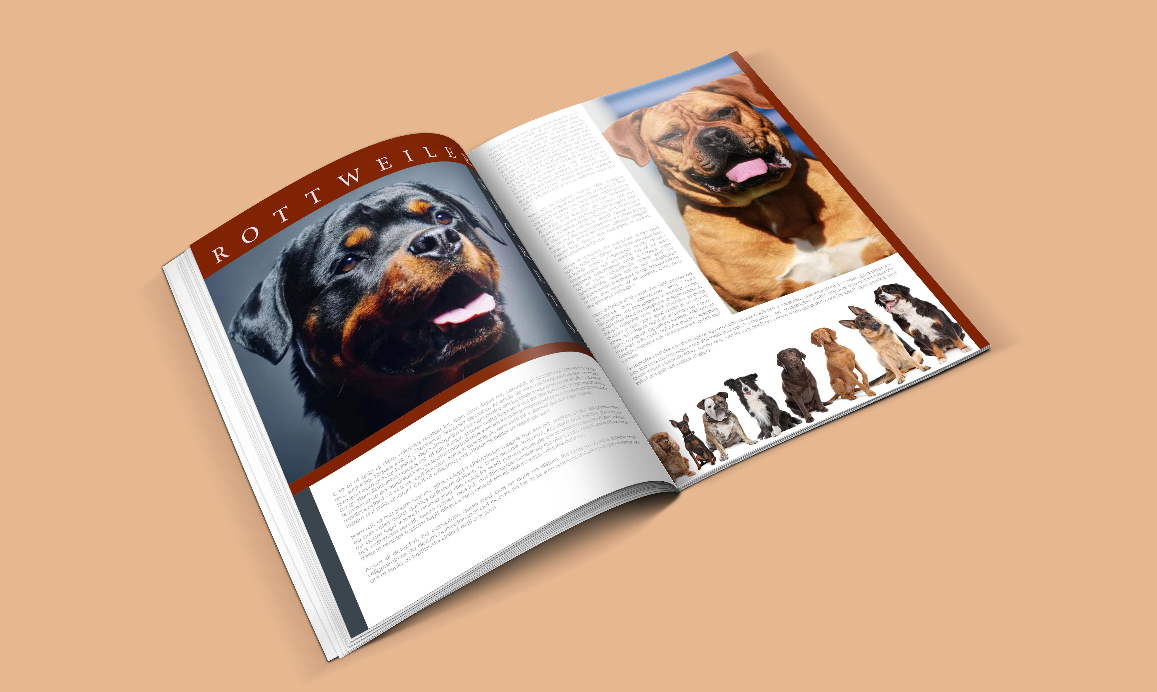 dogs-catalogue-design-template-in-ai-indd-pdf-format-4