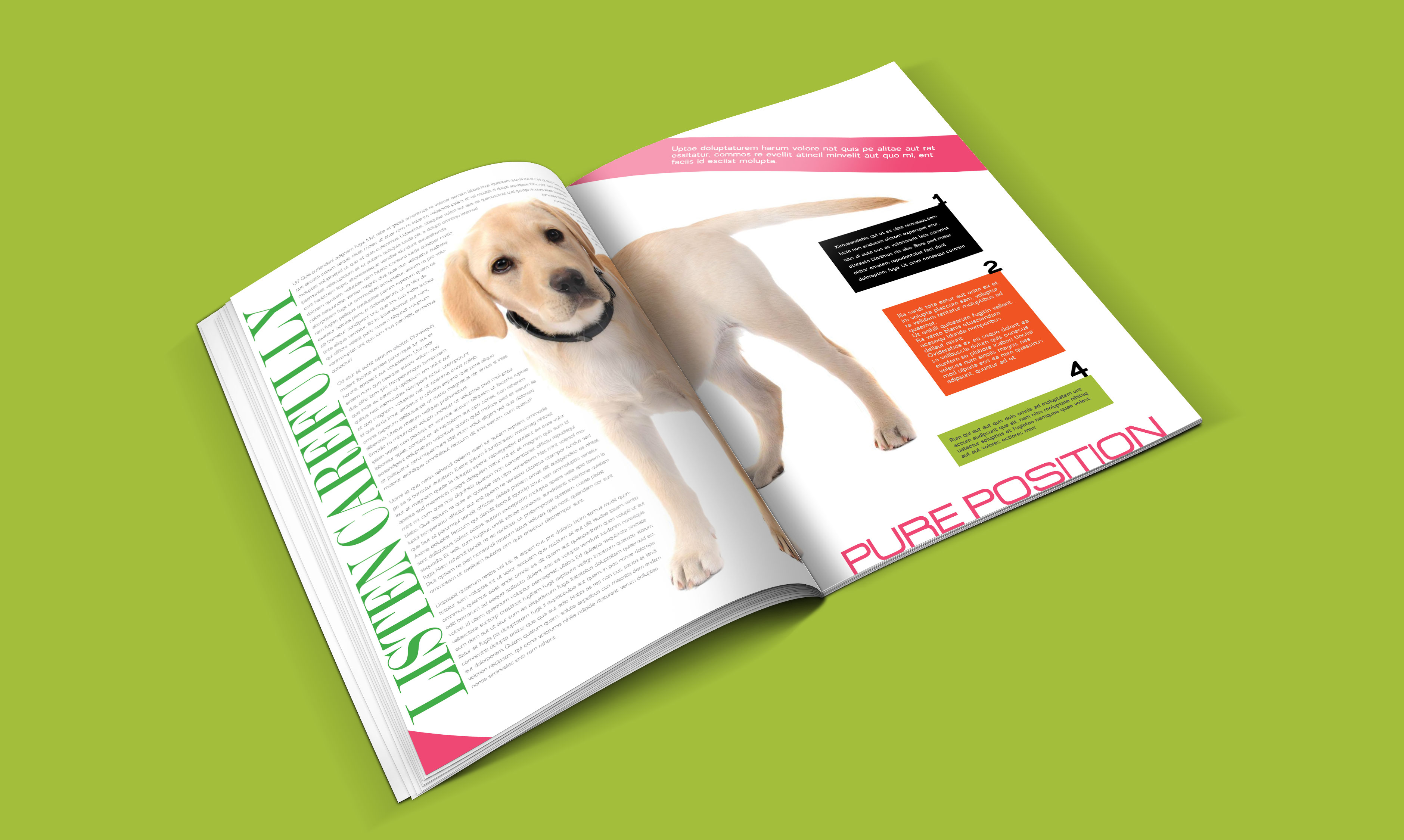 dogs-catalogue-design-template-in-ai-indd-pdf-format-5