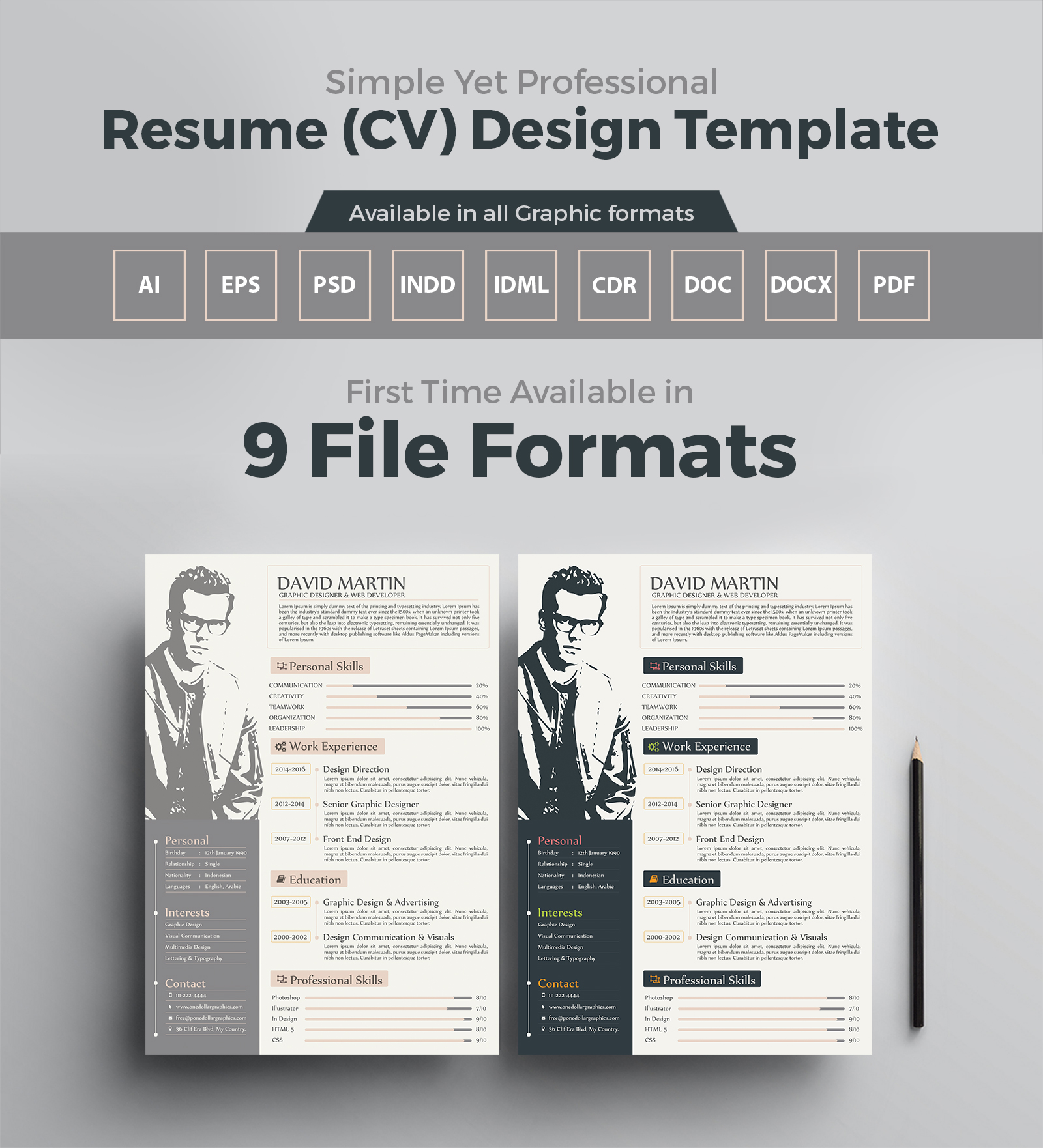 simple-yet-professional-resume-cv-design-template-3