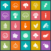 100-vegetable-vector-icons-feature-image