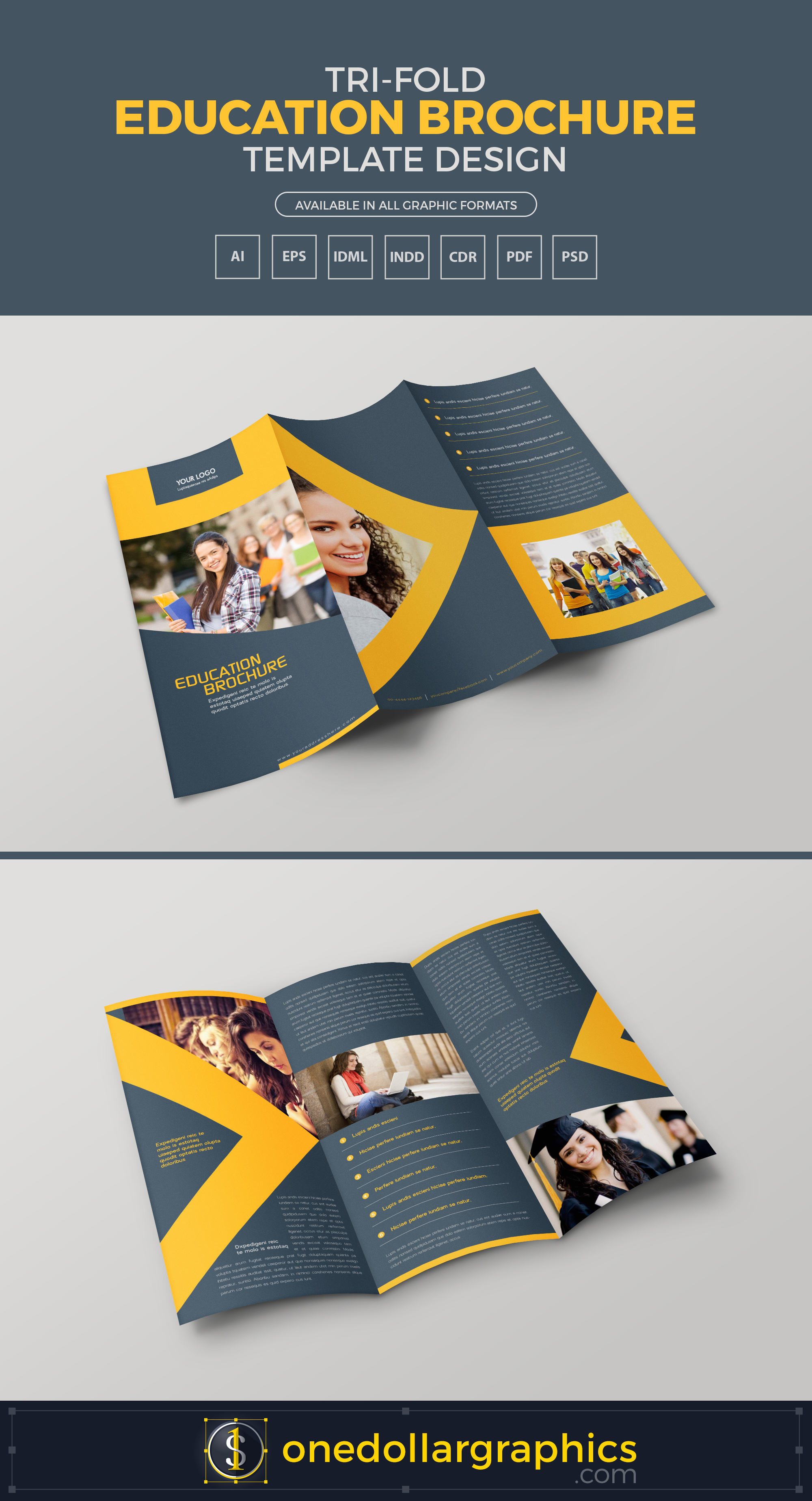 Tri Fold Education Brochure Template Design in Ai EPS PDF CDR PDF